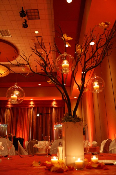 Wedding at Embassy Suites Murfreesboro