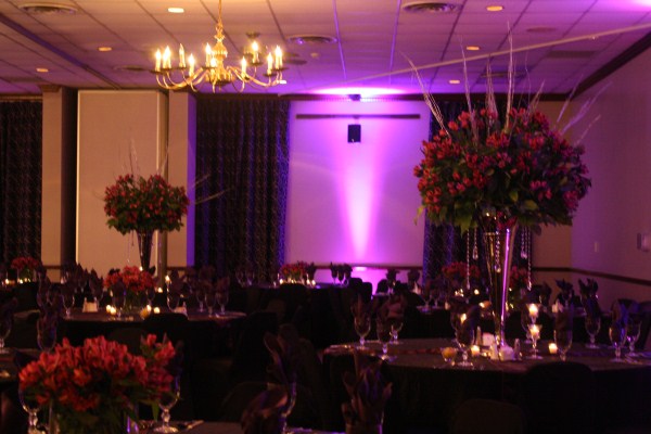 Wedding at Smyrna Town Center